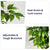 artificial-ficus-tree-71in-faux-indoor-tree-for-home-decor-evergreen-6-feet-tall-fake-tree-plant-fake-floor-plant-with-sturdy-plastic-nursery-pot-for-living-room-farmhouse-office