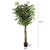artificial-ficus-tree-71in-faux-indoor-tree-for-home-decor-evergreen-6-feet-tall-fake-tree-plant-fake-floor-plant-with-sturdy-plastic-nursery-pot-for-living-room-farmhouse-office