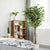 artificial-ficus-tree-71in-faux-indoor-tree-for-home-decor-evergreen-6-feet-tall-fake-tree-plant-fake-floor-plant-with-sturdy-plastic-nursery-pot-for-living-room-farmhouse-office