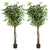 artificial-ficus-tree-71in-faux-indoor-tree-for-home-decor-evergreen-6-feet-tall-fake-tree-plant-fake-floor-plant-with-sturdy-plastic-nursery-pot-for-living-room-farmhouse-office